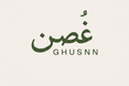 Translation missing: en.Ghusnn accessibility.home